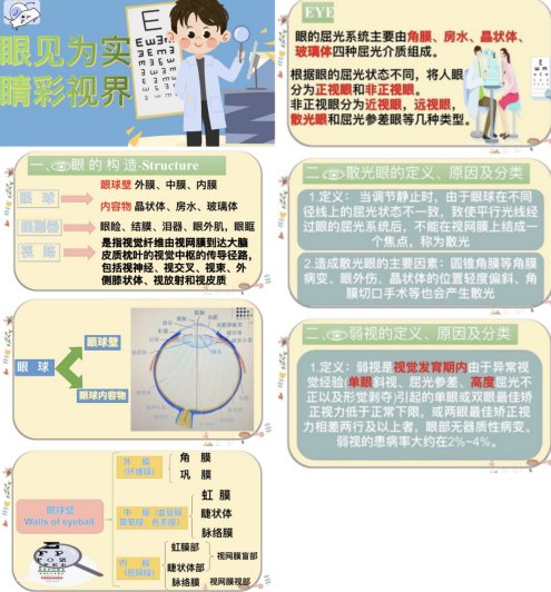 医学基础部下设解剖